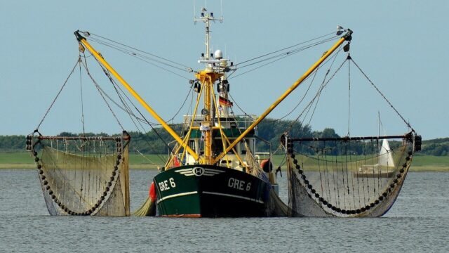 fishing1