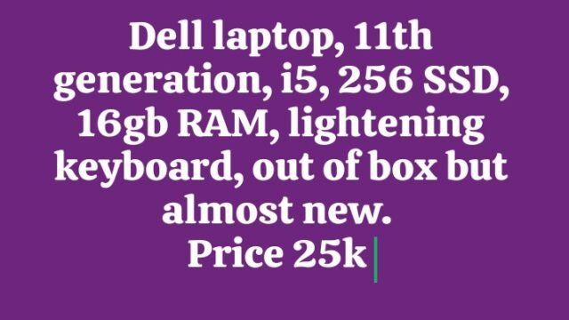 Dell-18